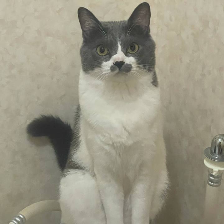 D34401a5 5ef8 4782 ac36 7bd87b833a54 1625872084389