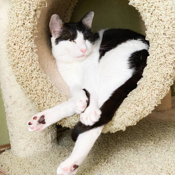 D34409a7 b4ff 4a5c a63a b1d0ff7be828 1566176480778