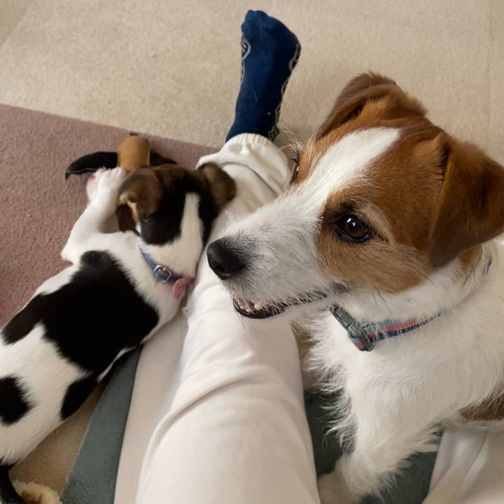 D3446510 6132 4b7d 8d1e bda82cbf35a0 1745127634313