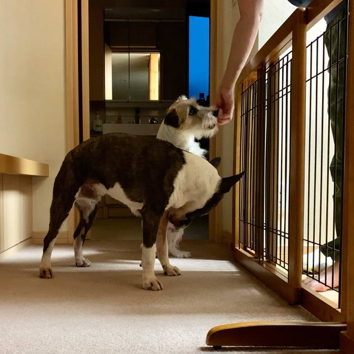 D3449e21 1f76 451b a49d 64be15995fa4 1623595595831