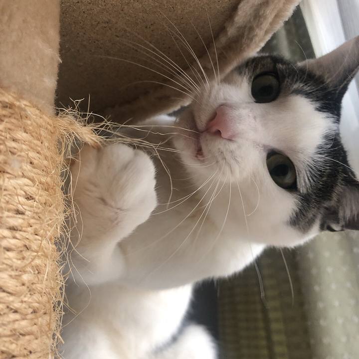 D344a370 6211 437b ae98 0563d60f04a7 1678488227021