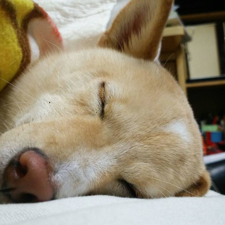 D344b425 f1a8 4549 a93d 9a2e48f1f830 1511182787427