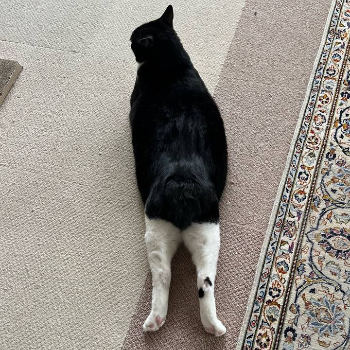 D344db63 c8da 49a7 869f f45436b18ea3 1773200619056