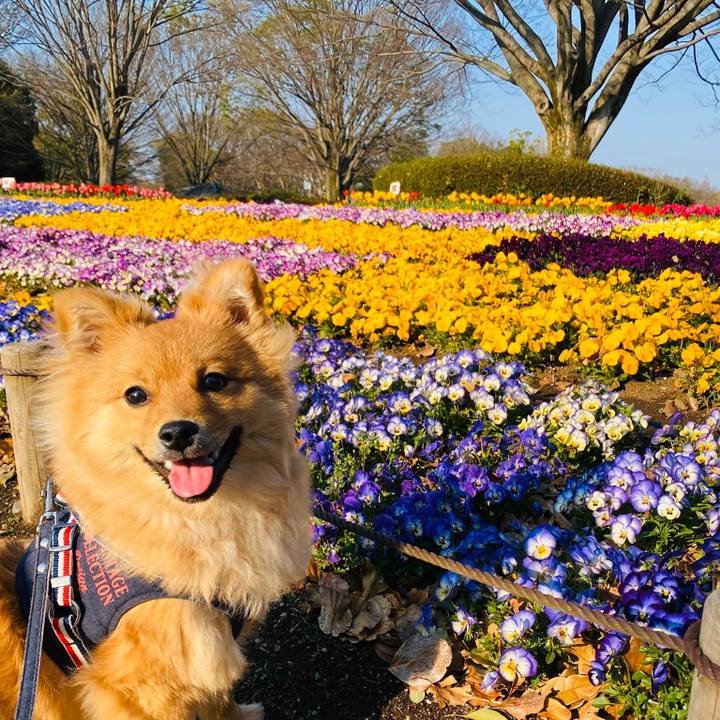 D344e0a2 7318 4105 aca1 52ca69a4896c 1586006076085