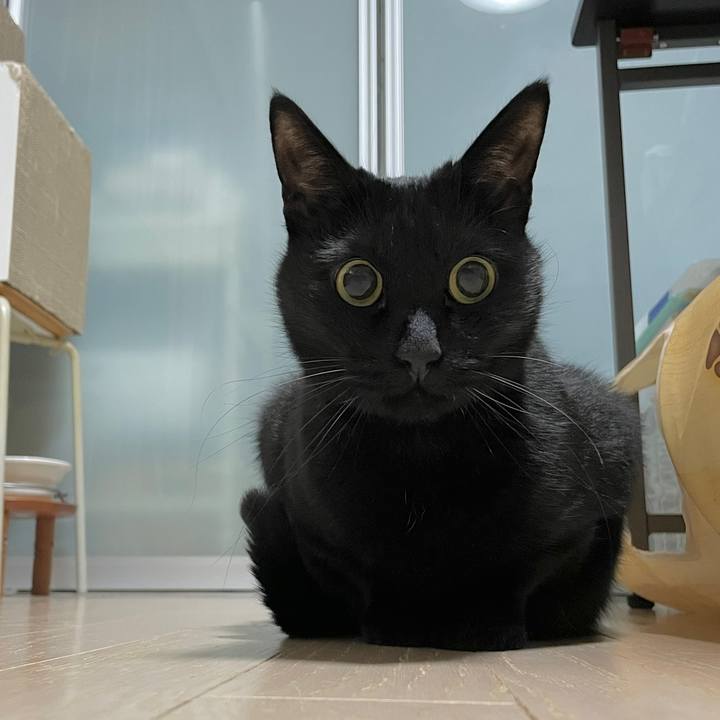 D34500e4 2f31 4613 92de e8ba9e00dbaa 1703238571236