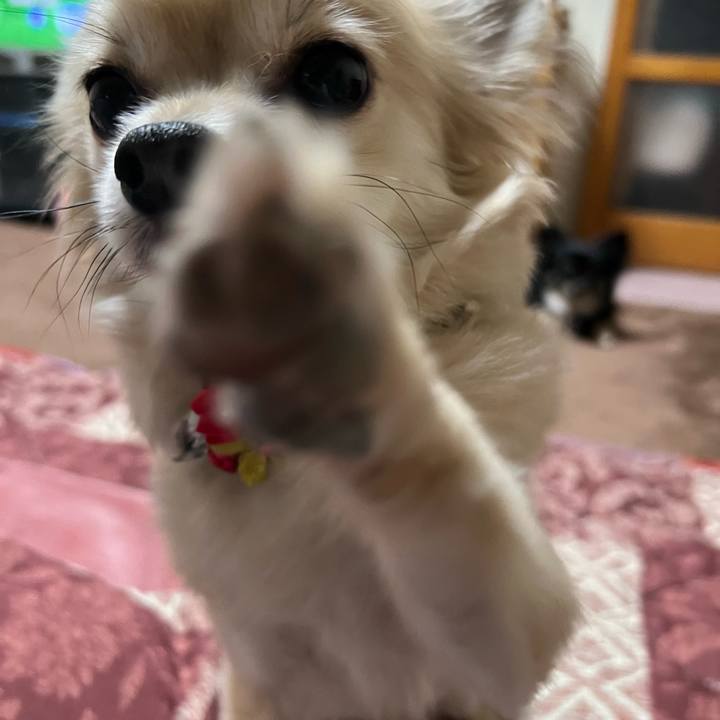 D3450193 4116 472b 93b5 5af7652efb42 1674121061438