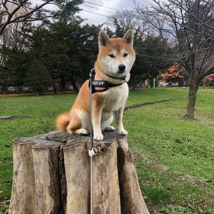 D34503e9 e1d2 4cf3 b0a7 6cd69a3cb7c2 1541915267699