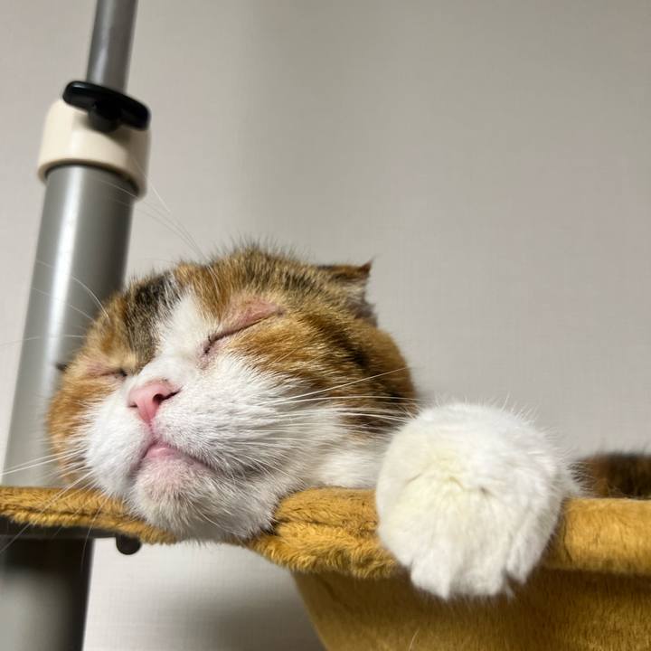 D3453645 a3d6 45ff a257 9431ec172440 1697725046874