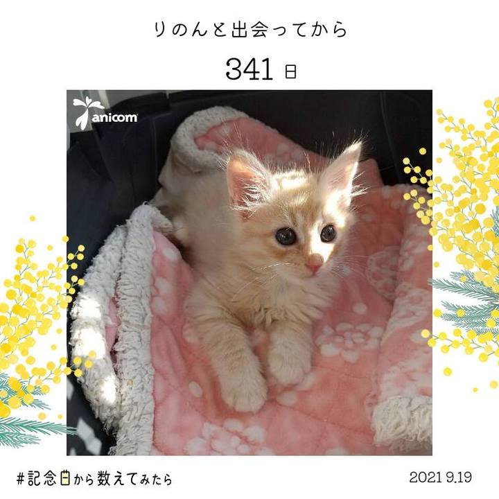 D34538f0 16db 4c22 b9df 742ad56ca2f6 1632023211472