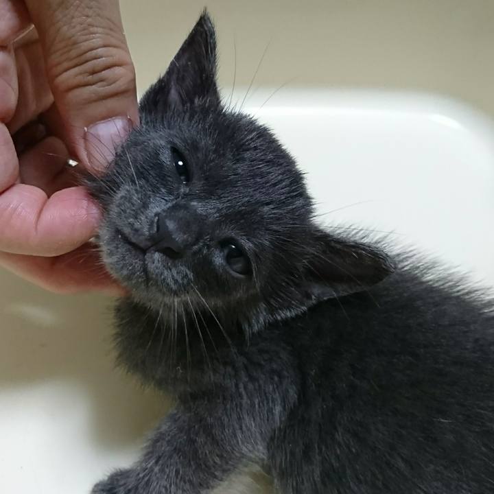 D3453d8d 6e36 47bc bf53 a2968824f903 1537187066368