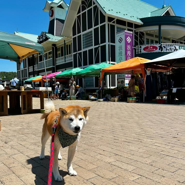 D3455070 c13a 4c60 b464 2ec4f17407e7 1714907260059