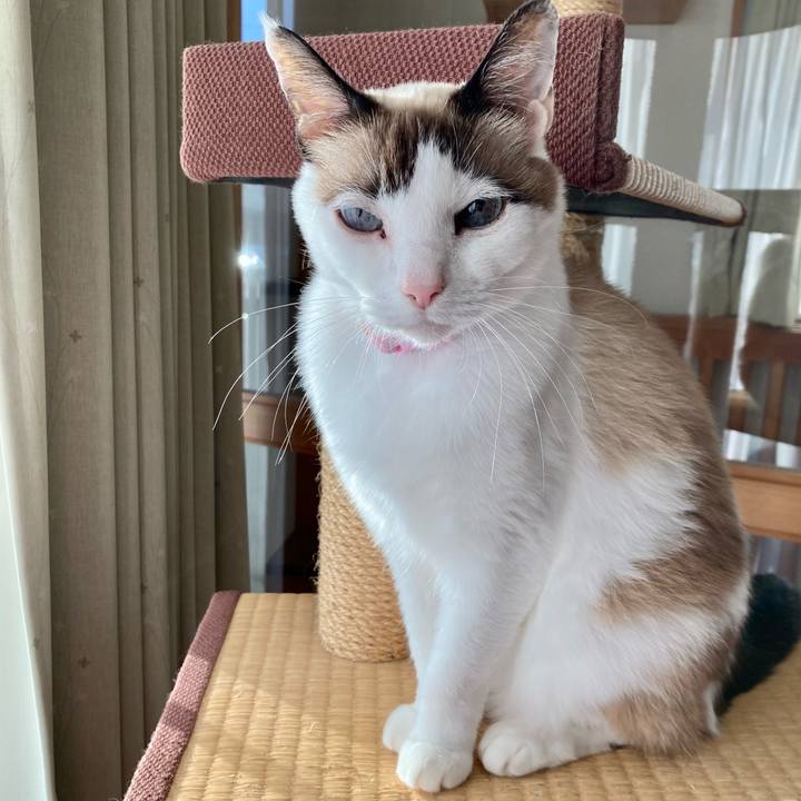 D345666e 1696 45dc a4ea 44c78e77eb4e 1637996817639