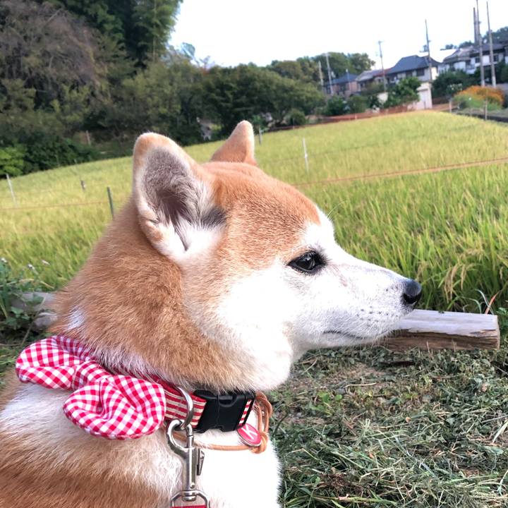 D3456d00 bff1 4126 b755 b94224d3e7e1 1570057567228