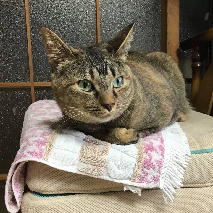 D3458bc2 a692 4c6b 8fce 85e755fc15d7 1655417779675