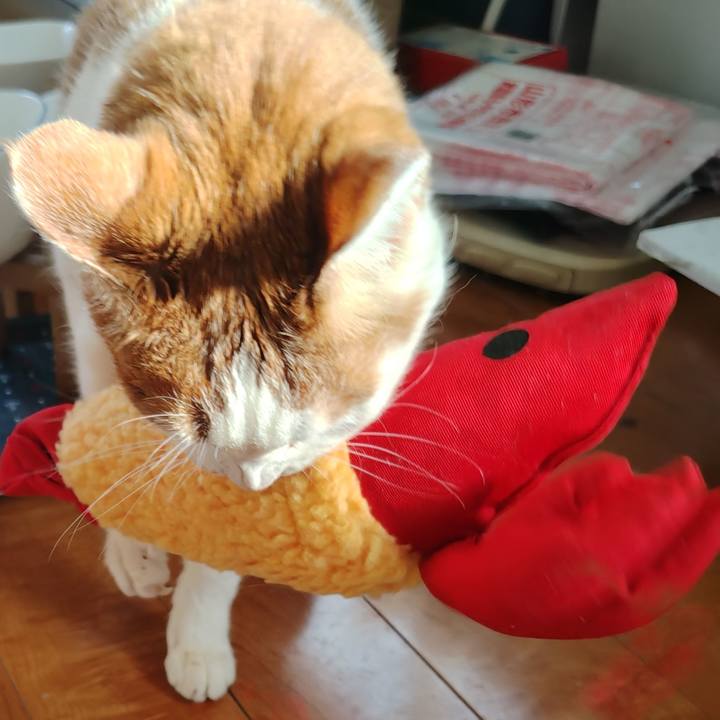 D3459324 33ce 414c b331 b0a55311514b 1773643777945