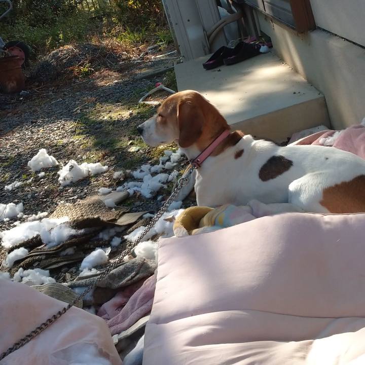 D34595cb ae71 4913 8a9b aa6031686c78 1576302236722