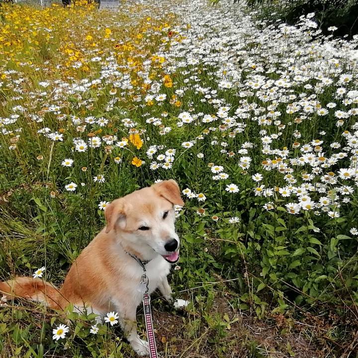 D345d6d2 7c88 4abc 9061 204faed94265 1591171901820