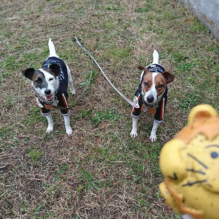 D345fb70 60e4 4c84 a2ec 193b62072a9b 1577665849603