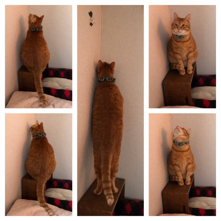 D346103f 52d3 4f2e 8b59 f69e0fd1adfa 1554065541937