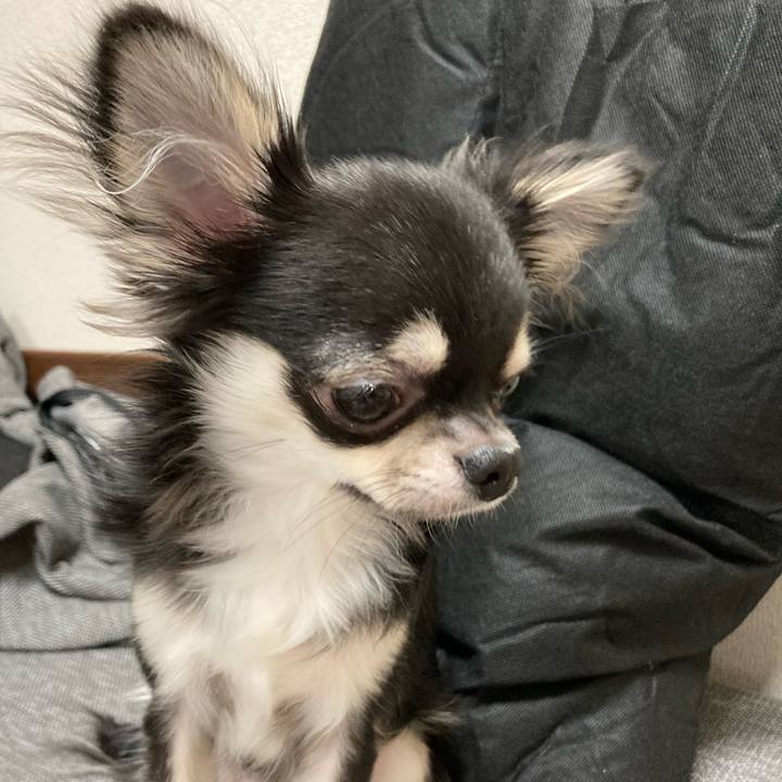 D34622c3 a645 435a 94be 9304674cdb01 1601764358465