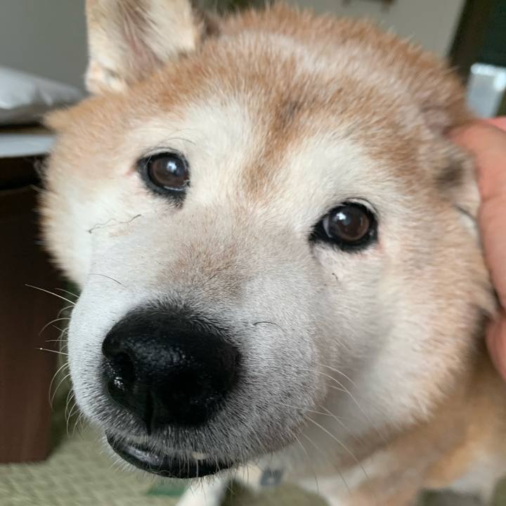 D346291f 476c 489a 9b08 dd0989b01b2d 1625920480818