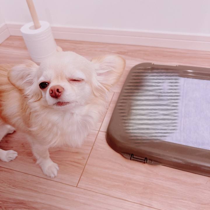 D3462d87 c8bc 45f6 8273 1b7b844646c3 1683421635737