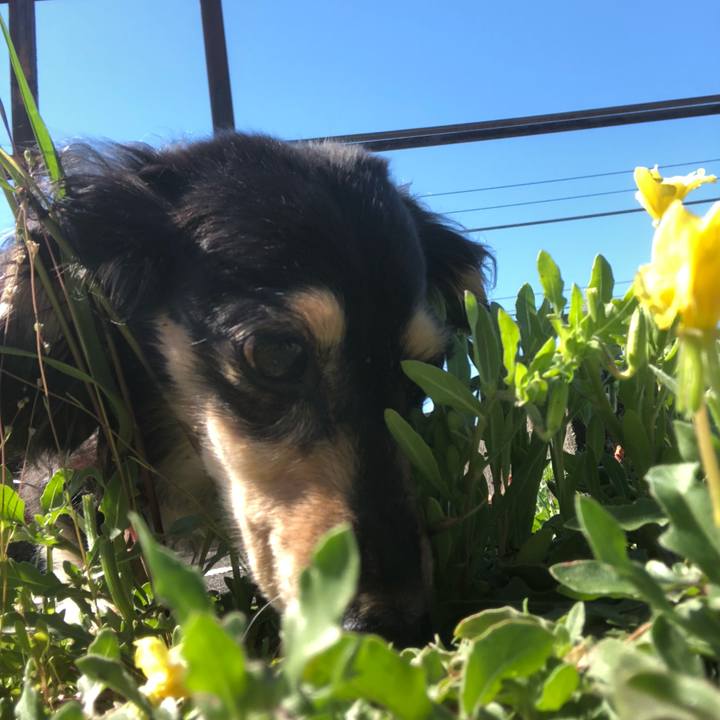 D3464c8e 1da4 4272 bf1c 80fc3451b9b3 1557188525563