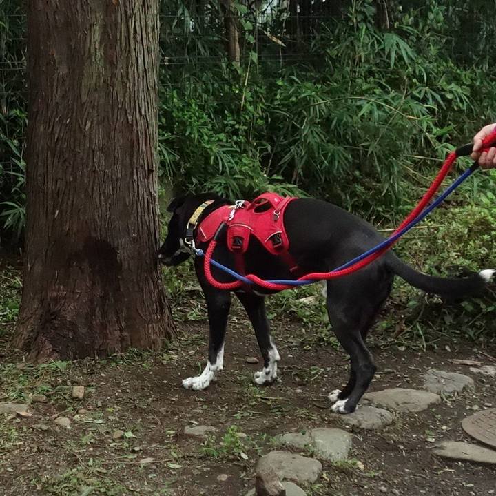 D3464eeb 3db3 400a 8e8f 65869eccf77f 1596028315583