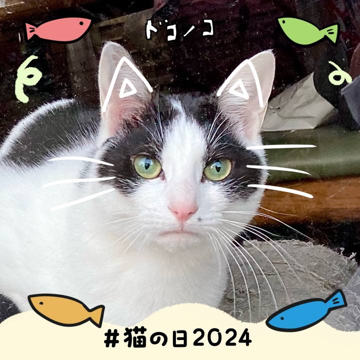 D3466b4b f11c 48c0 b6f6 51e7da0d2f2d 1708574553523