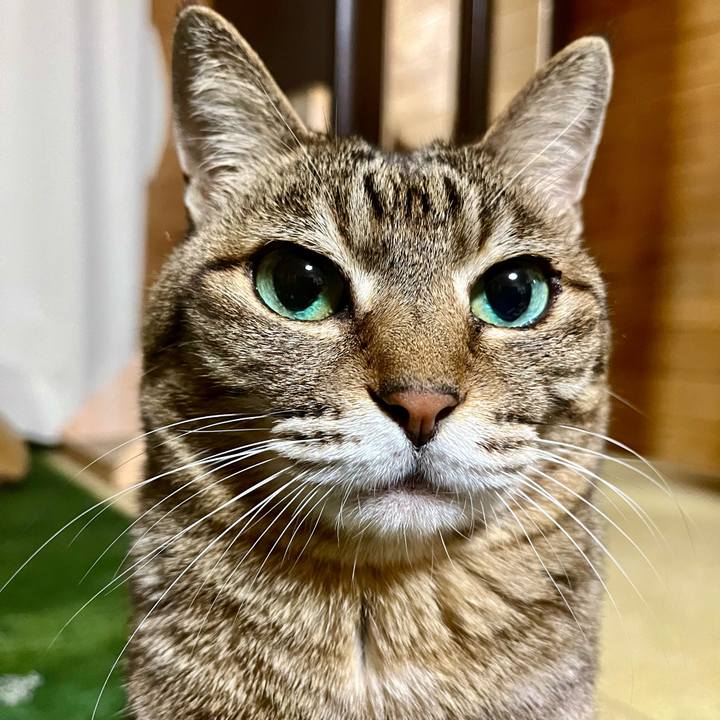 D3469498 bfc7 4c37 a456 f5cda3543dee 1711803280743