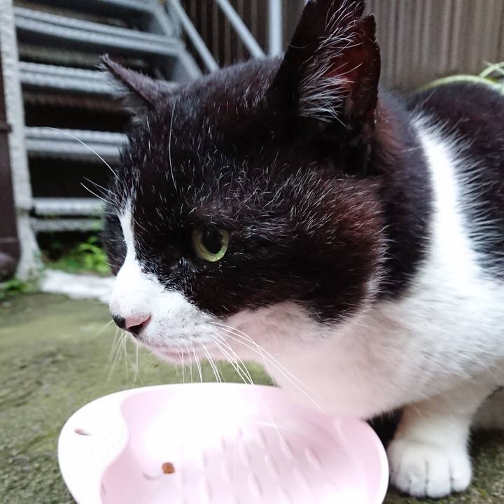 D3469dfa 6582 40d9 9348 97adc657e89b 1683801997766