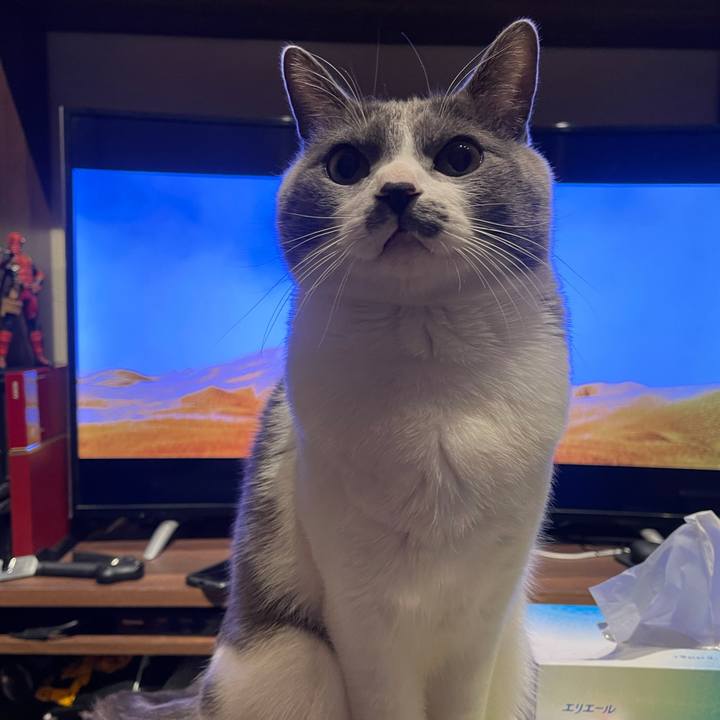 D346b34b 9143 445a b306 82ee12b601c8 1640009874723