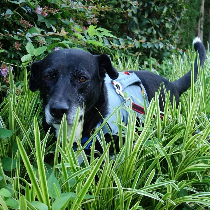 D346b583 36c5 42f8 9623 1e0bcaacfdcd 1718065659879