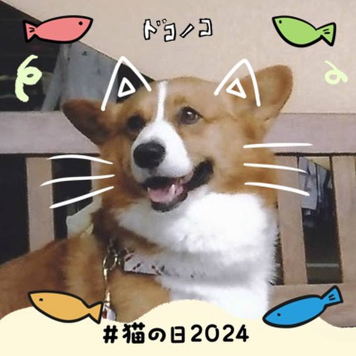 D3470e25 22fe 4a8a 9e2c 12f0fb65a357 1708562192766