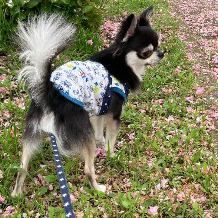 D3472e54 56dc 462c bf7e 3fdce96d9f04 1650719041482