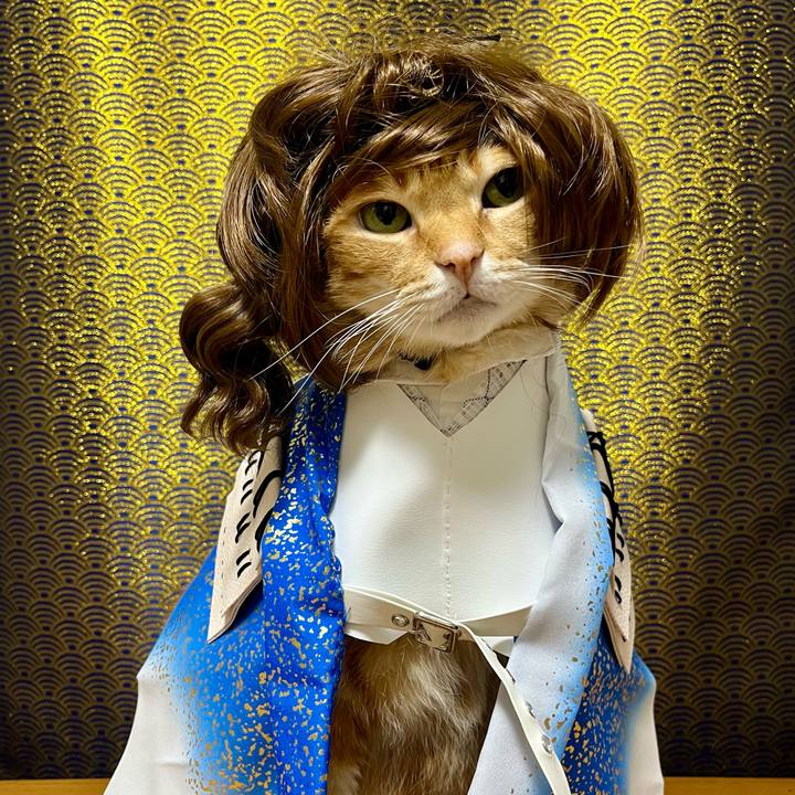 D3472e8b fca9 4334 a1ce dcd821c481be 1704618834237