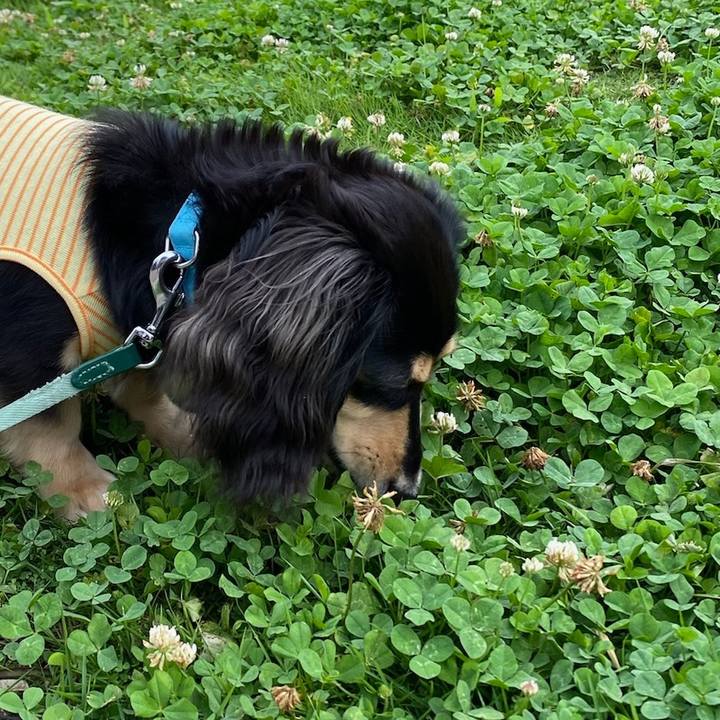 D347386f 7559 4137 b2e2 be91e71c42ff 1687752919428