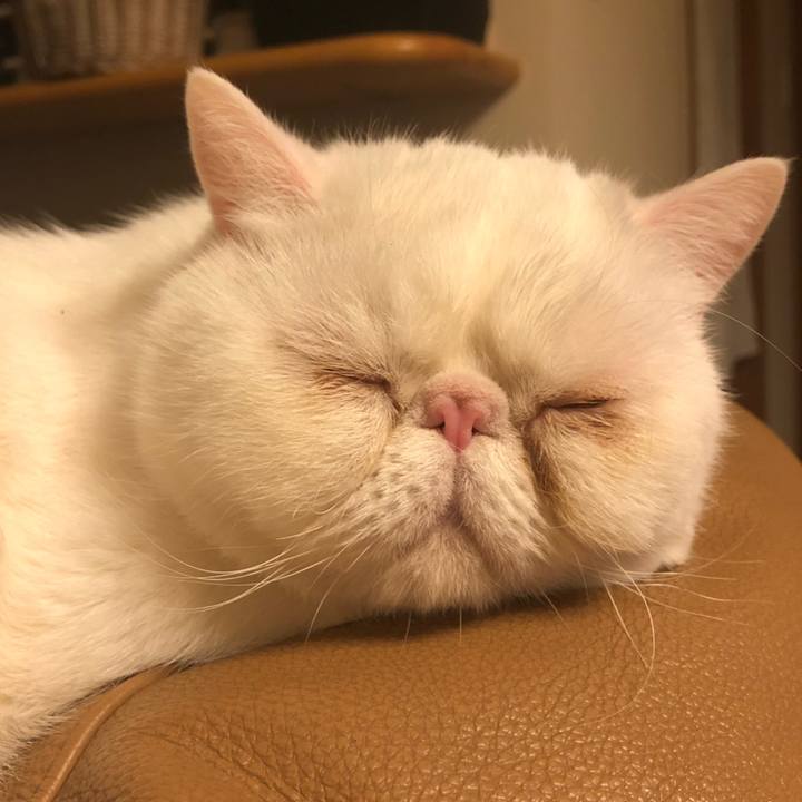 D3474613 12cd 4517 bd9f 76e6db8ef1f1 1643546165064