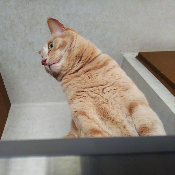 D3476d95 b6c8 403e 8a65 5feb6db59df7 1663984618897