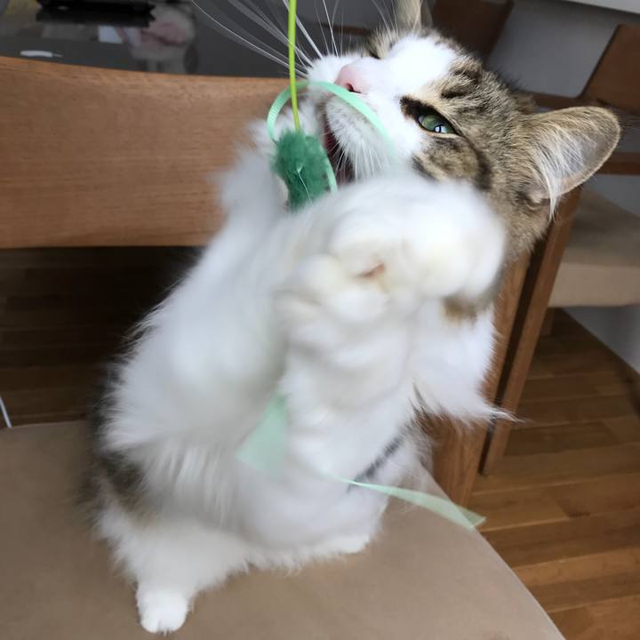 D3479b5f 0ec6 4ff5 b919 935a399e153b 1533990555049