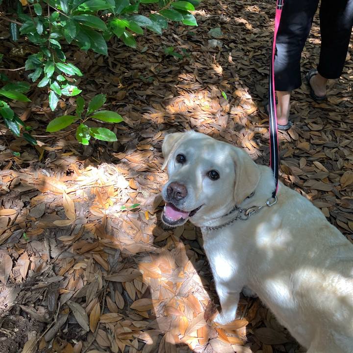 D347a8a5 6a1a 4b2f 99dc 610b0c31f07b 1659419503882