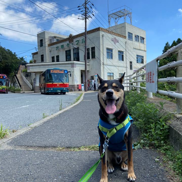 D347c612 2b97 4082 8657 32551d057be8 1597466263441