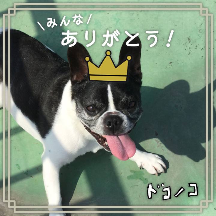 D3480044 1afe 4901 a1ab 3eca9911bb17 1622864836072