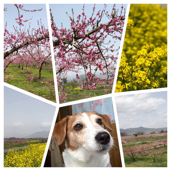 D3481100 7b5d 4a59 a85b 09da523929f8 1523960137074