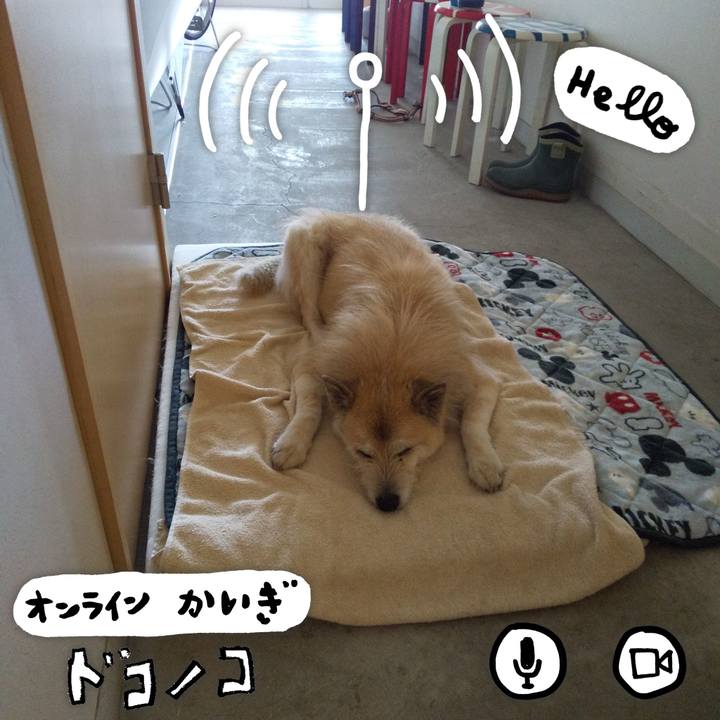 D34825aa ab7b 4409 85b1 059c7a210191 1590804506589