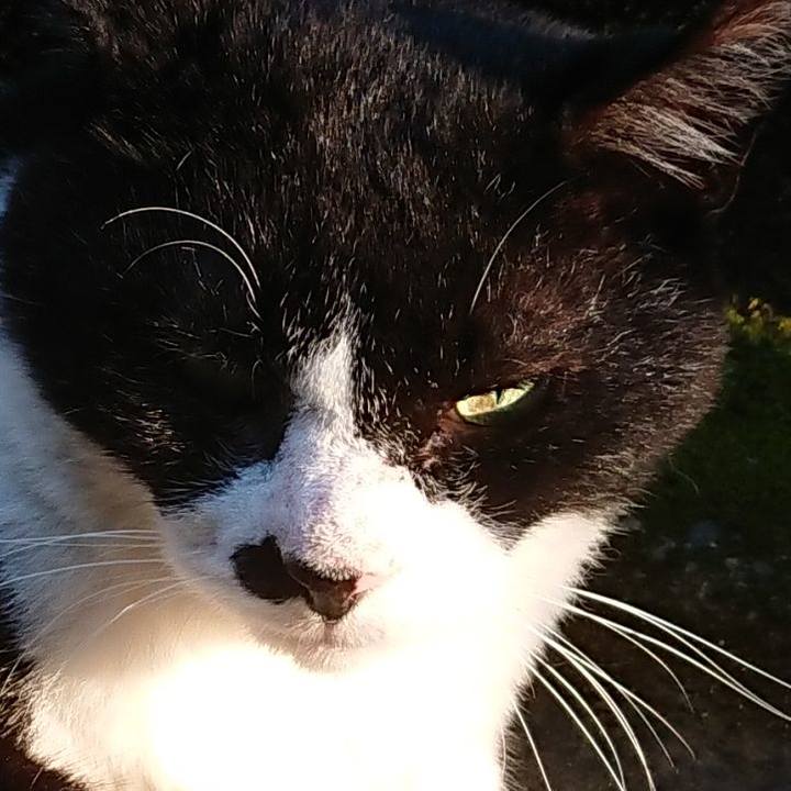 D3484f97 f0a1 49f4 99fe e4d8915a70df 1596453745477