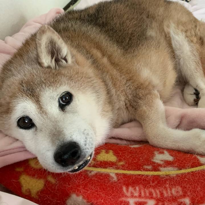 D3485f59 6c84 4009 8790 c2bf8d64e6c6 1658028990680