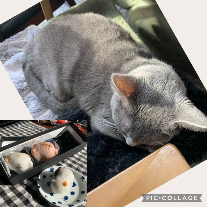 D3487f2a 55bf 4f0f af84 5a9cf2bdf94f 1676081048105