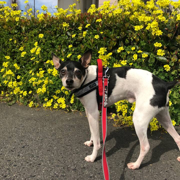 D3489d4d 09a1 4370 8d5e 1e403aa8566b 1554429094054