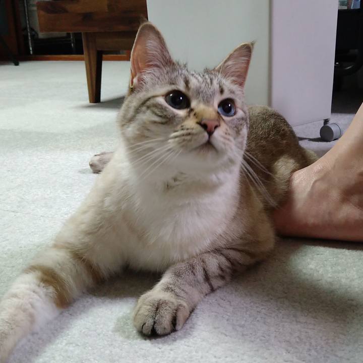 D348de5d b894 4313 b7c9 4590ea821919 1655043668269